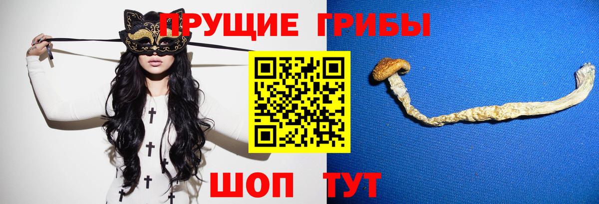 Псилоцибиновые грибы GOLDEN TEACHER  Вход с VPN  Галлюциногенные грибы Magic Shrooms  купить наркотики цена  Богородицк 